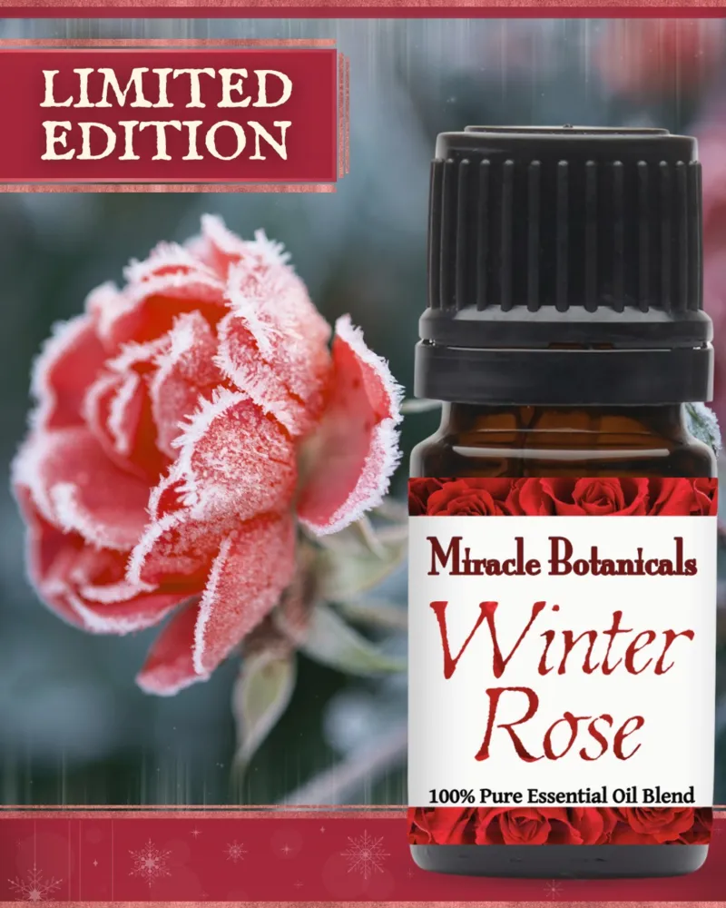 Winter Rose - Pure EO Blend