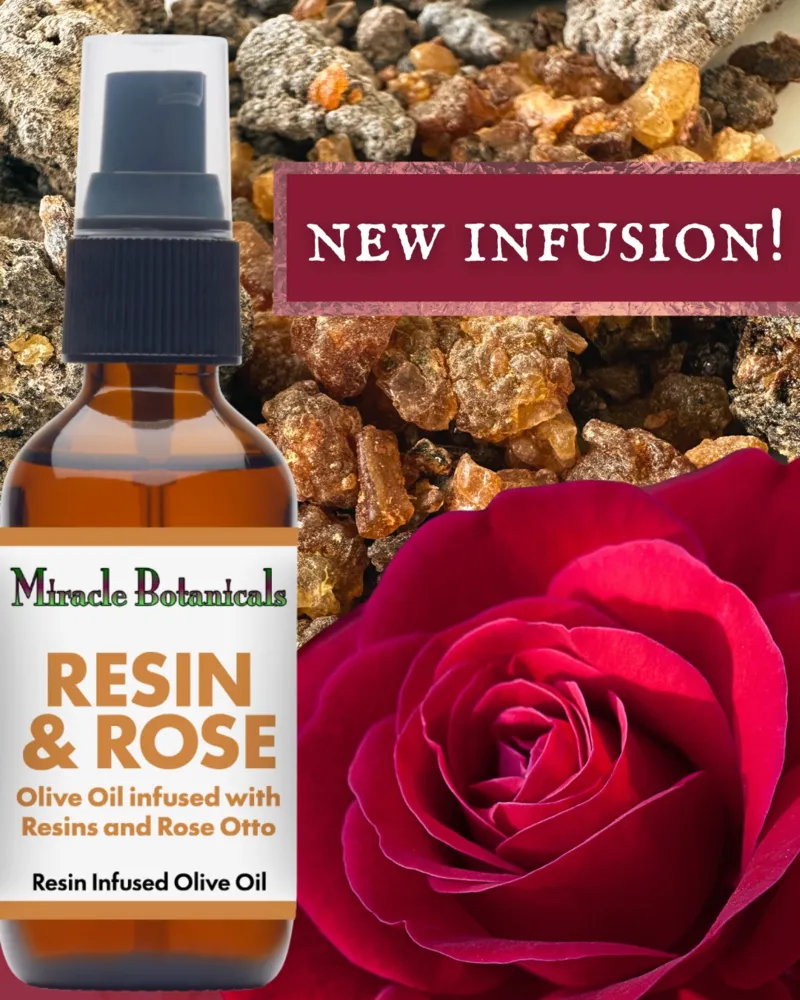 美容液 Winter Rose Winter Rose - Pure EO Blend