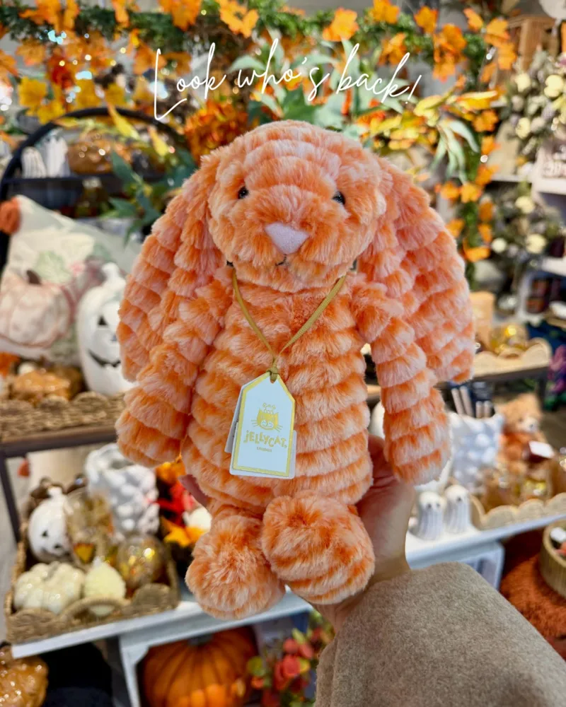 Jellycat Dorit Duckling – Nicholls